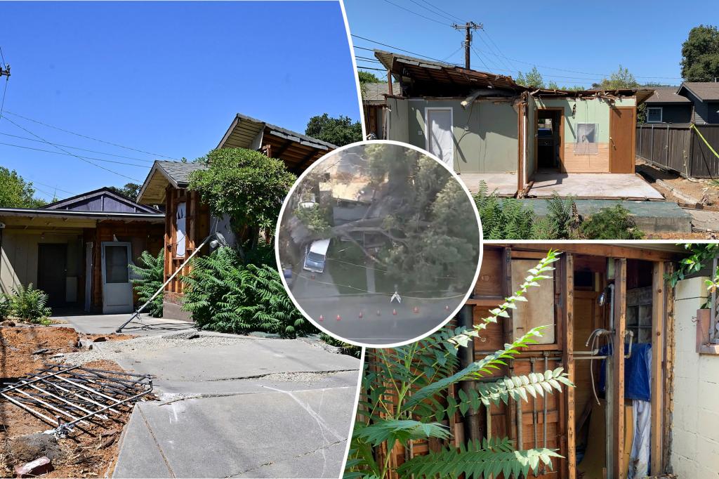 California bungalow aims for $500,000 - months after being destroyed by falling pine tree